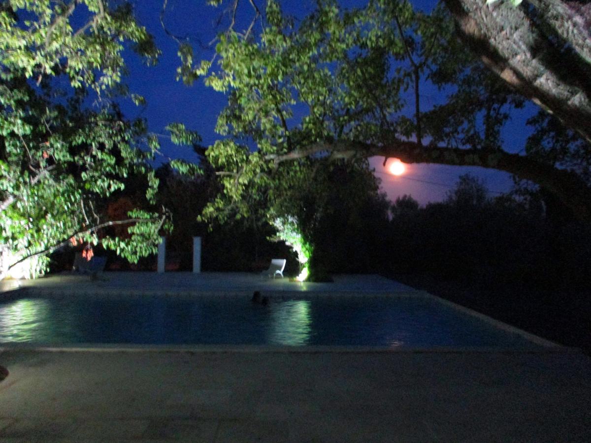 Le Mas Des Lilas Uzes Bagian luar foto